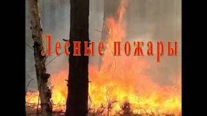 Лесные пожары!