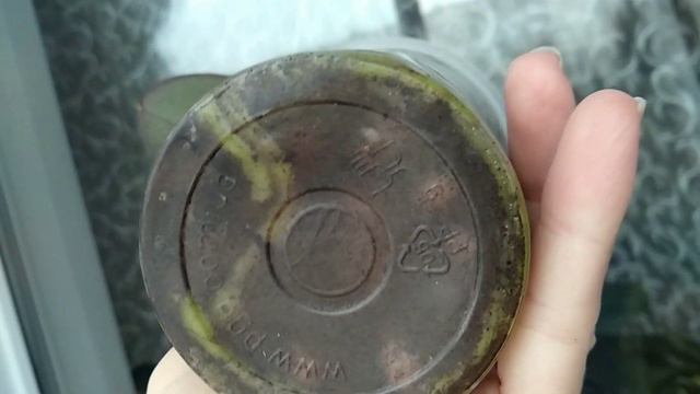 РАЗ В 3 НЕДЕЛИ орхидеи ПОЛИВАЛА! корни РАЗРОСЛИСЬ! посадка СРАБОТАЛА! орхидеи РАСТУТ на глазах! смотреть онлайн