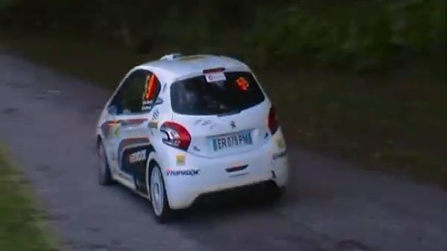 50° Rally del Friuli Venezia Giulia_Alpi Orientali_2014 смотреть онлайн