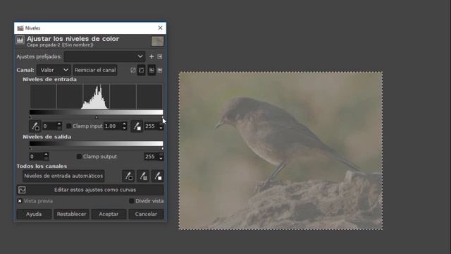 Mejora Tus Fotografías Con El Histograma Y Niveles En Gimp 2.1