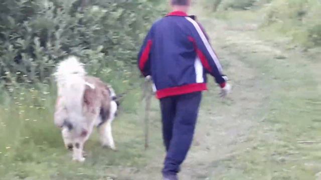 Прогулка с Графом❤🌻 смотреть онлайн