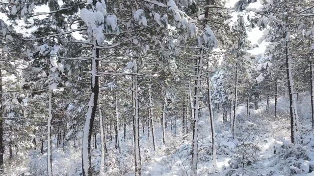 Новая, Невероятно красивая музыка Сергею Чекалину! Невероятно Чарующая музыка для души смотреть онлайн