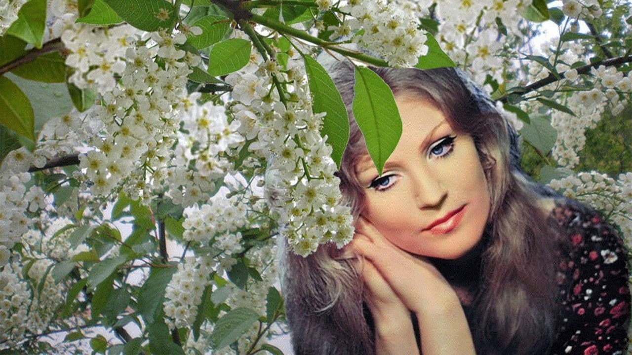 Белая черёмуха