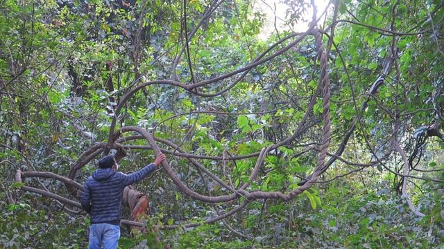 A perfect day смотреть онлайн