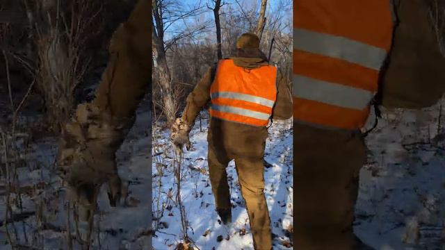 Жирновск охота 051220 часть 2 смотреть онлайн