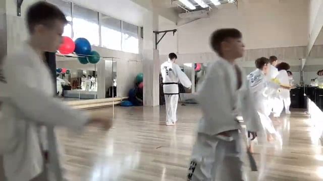 Учим Удар с Разворота — Панде Долио Чаги! смотреть онлайн