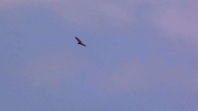 07_08_2019_СТАВРОПОЛЬЕ_СТЕПЬ.mp4 смотреть онлайн