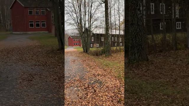 Путь в Норвегию , 2 этап, временный лагерь .Условия в лагере и выплаты . Hønefoss, Oslo смотреть онлайн