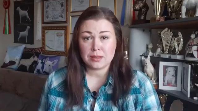 Натуральное питание собак. Кости. смотреть онлайн