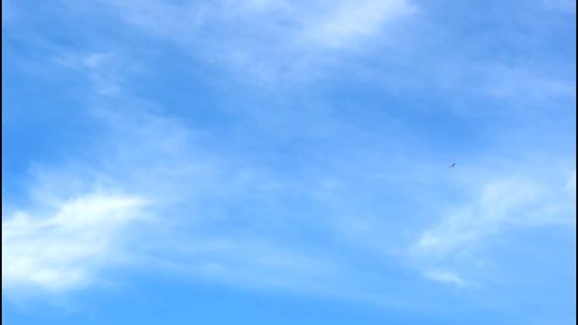 HobbyKing SkyMaster V2 First Flight Impressions Review Trainer RC Airplane - TheRcSaylors смотреть онлайн