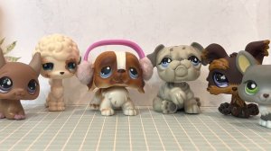 LPS: Распаковка 2 | Петы с Авито