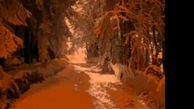 armand amar te amo neige смотреть онлайн