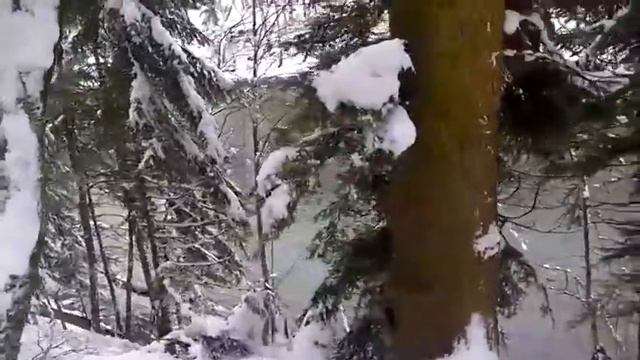 Кавказский заповедник,р.Белая смотреть онлайн