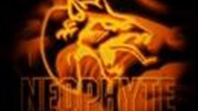 Neophyte - Alles kapot смотреть онлайн