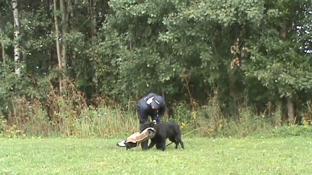 Brana kaitsetrenn 20 08 12 смотреть онлайн
