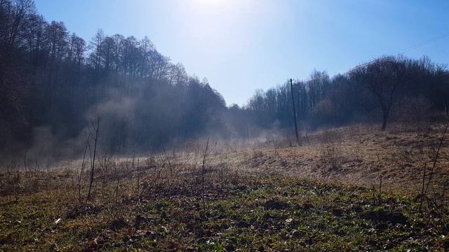 Утренняя прогулка | Жизнь у леса | Маленькая деревня смотреть онлайн