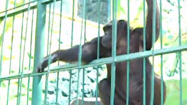 Красавчик Джонни. смотреть онлайн