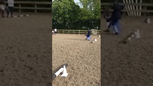 Hobby Horse Dressage