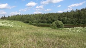 По рекам Тимана ч2. Река Ухта. Заброшенная в глухой тайге деревня. Ухтинский волок. Лесная изба