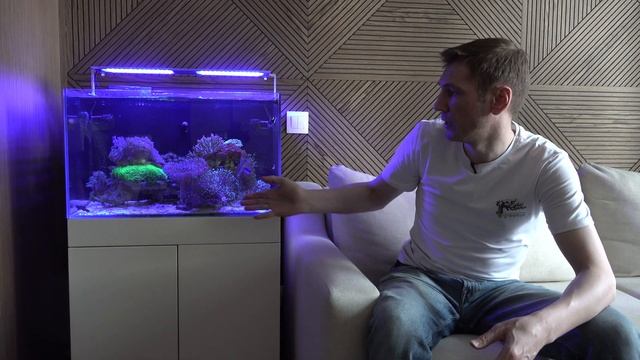 Морской аквариум с мягкими кораллами. Комплект Middle смотреть онлайн