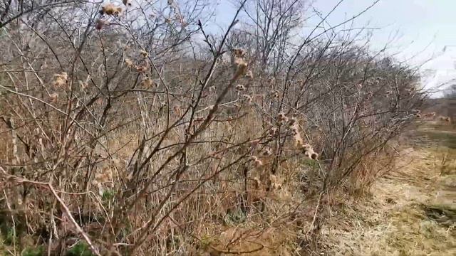 Уехали что б не работать в праздник. Надеюсь это то что я хотела. Жизнь простых людей. Украина.