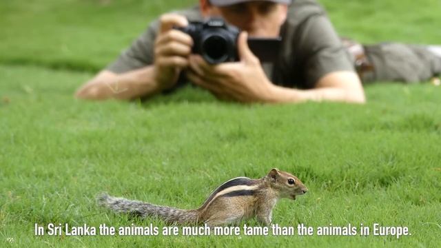 Panasonic LUMIX FZ300 Shooting Impression by Bence Máté смотреть онлайн