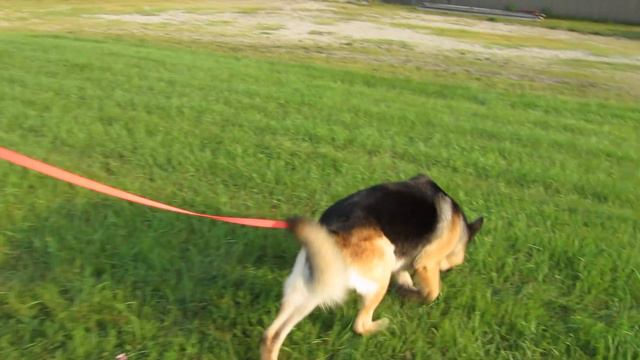 Tucker Tracking Full Video 08-25-2013 With Rolando смотреть онлайн