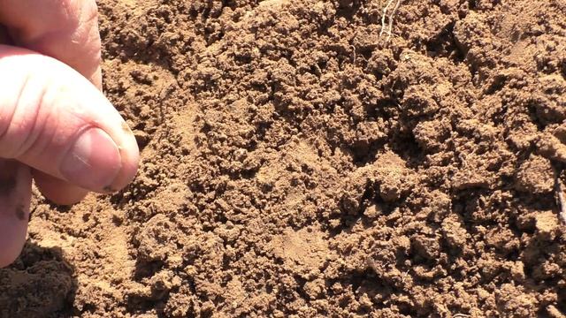 ТАЙНА СТАБИЛЬНОСТИ ЭКВИНОКСА 800