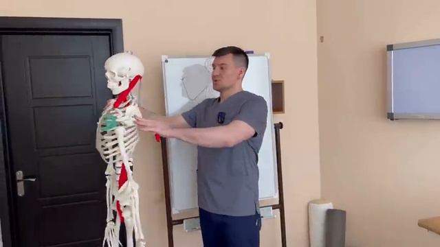 Начнешь стареть когда эти 5 мышц перестанут работать. смотреть онлайн