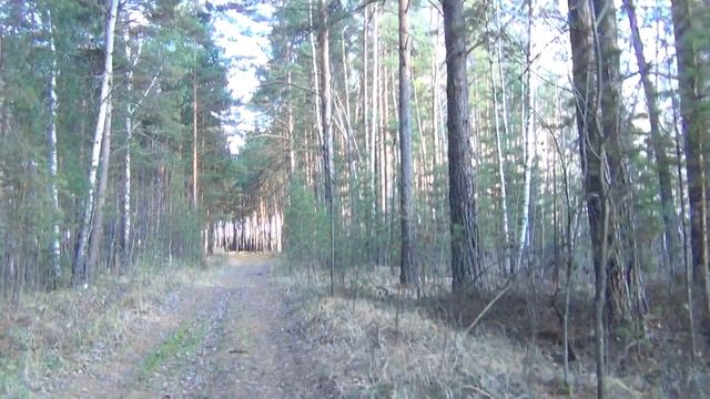 КАК РЕВНУЕТ ВЗРОСЛЫЙ МУЖЧИНА. ПРИЗНАКИ ЧЕЛОВЕКА, ЛЮБЯЩЕГО СЕБЯ-2 (секреты счастья С.Е.) смотреть онлайн