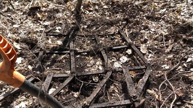 Открыл сезон копа. Результат отличный, плюс рог и нож. смотреть онлайн