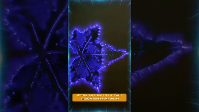 Голограмма растения в съемке Кирлиан смотреть онлайн