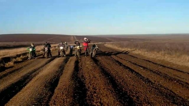 Огромное стадо оленей не дает проехать!!! смотреть онлайн