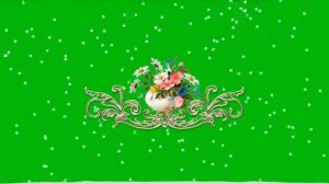 ФУТАЖ   БУКЕТ ЦВЕТОВ НА ЗЕЛЕНОМ ФОНЕ , ХРОМАКЕЙ