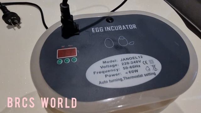 How to get a chick out of the incubator? How to use chicken incubator ? Avustralya vlog kuluçka смотреть онлайн