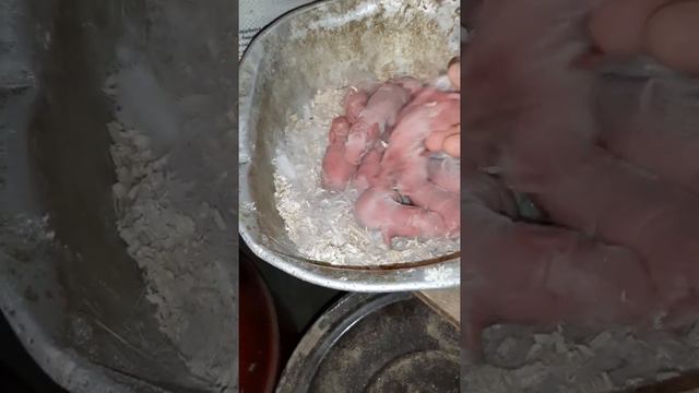 Перша селекція кролика. смотреть онлайн