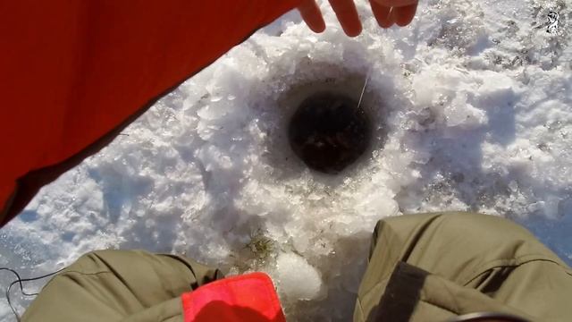 РЫБАЛКА НА ОЗЕРЕ УТКУЛЬ ЗИМОЙ смотреть онлайн