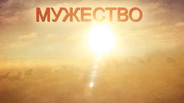 Лапша бесбармачная "Тамерлан" смотреть онлайн