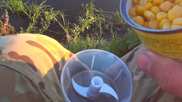 Карась РВЁТ поводки весенний ЖОР карася в самом разгаре РЫБАЛКА НА ДОНУ смотреть онлайн