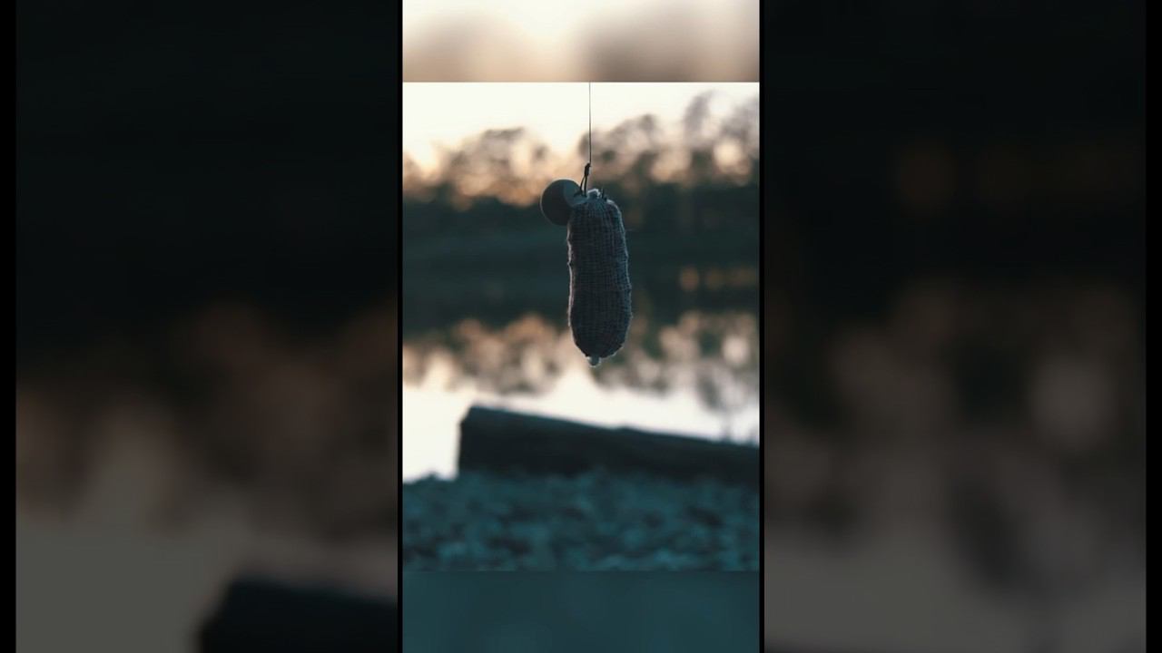 Новая секретная насадка! Показали на что ловим больших карпов! смотреть онлайн