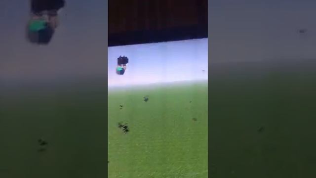 Entity boss 404 minecraft смотреть онлайн