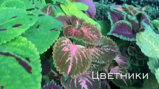 Ландшафтный дизайн от студии "Дерево Бодхи". Красивые сады с озеленением и благоустройством смотреть онлайн