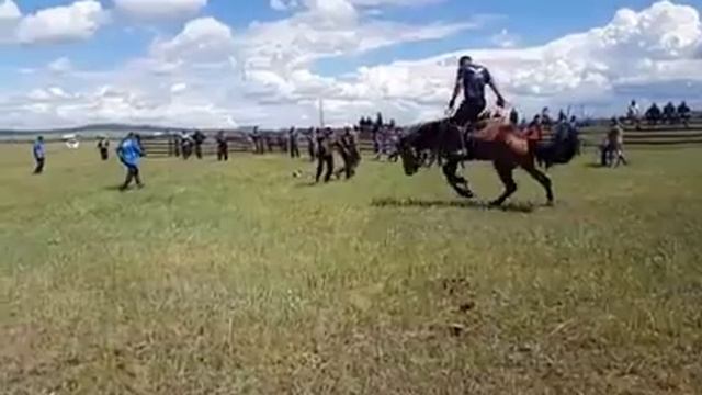 Мастер класс по обучению диких лошадей от монгольской группы каскадеров #ТЭНГЭРИИНЧОНО. 1 смотреть онлайн