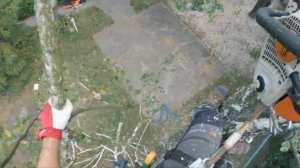 Как Спилить Дерево по Частям (Арбористика)