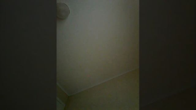 How To Get Into A Lucid Dream When In A Regular Dream Or An Regular Nightmare