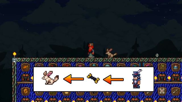ОБЗОР ВСЕХ ПИТОМЦЕ В ТЕРРАРИИ! I Terraria