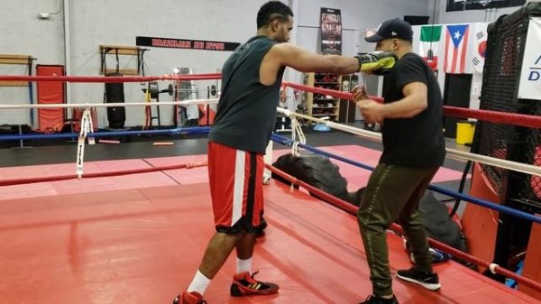 Boxing How to throw a check hook