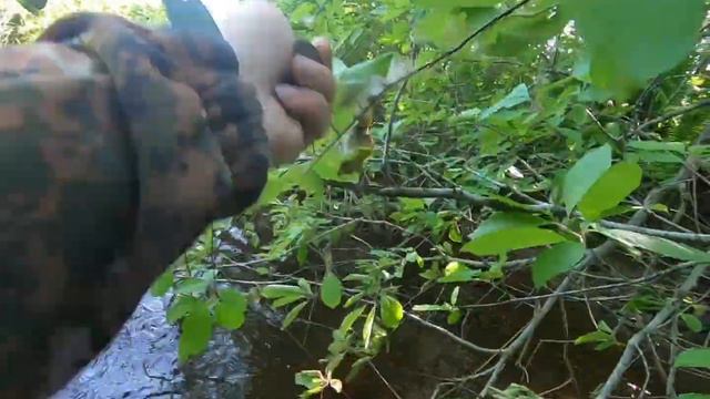 Горная рыбалка, Хариус и Ленок в таёжном ручье💪😎 смотреть онлайн