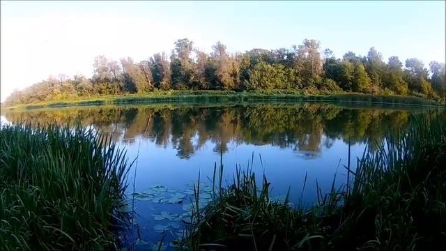 рыбалка 24 08 2019 года на Дону в Лискинском районе в районе Нижнего Икорца смотреть онлайн