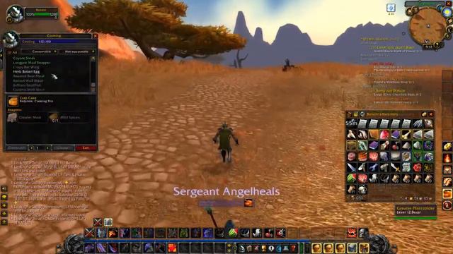 Warrior / Priest Duo Levelling - Stonetalon Mountains (Wow Classic) смотреть онлайн